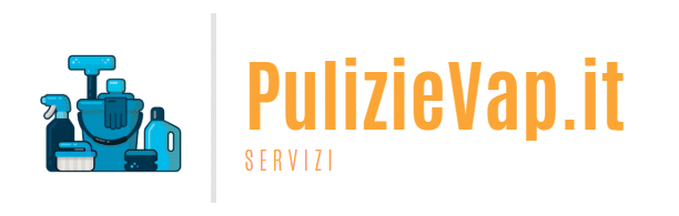 logo-www.pulizievap.it